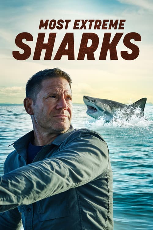 Most Extreme Sharks Season 1 poster
