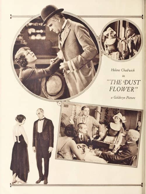 The Dust Flower