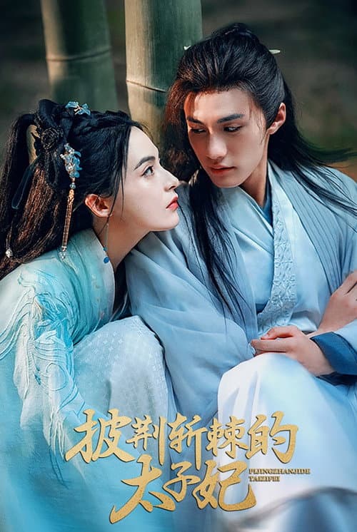 My Brave Crown Princess Season 1 poster