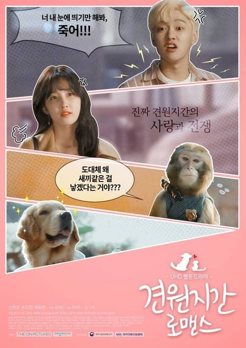 Monkey and Dog Romance