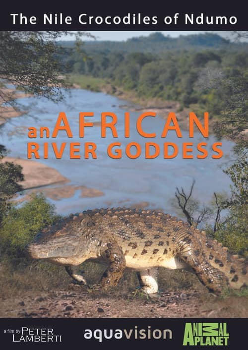 River Dragons of Ndumo